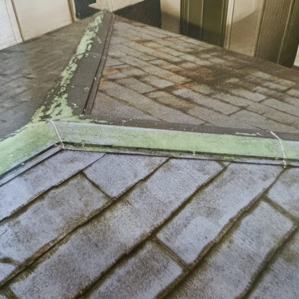 雨漏りがあった屋根の写真